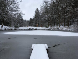 Identifying the real cause of concrete damage from ice melt, sealing issues, or poor installation.