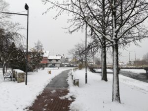 Safe Paw and Safe Thaw ice melt granules dissolving completely on concrete in winter