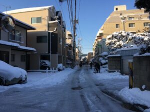 Safe Paw and Safe Thaw ice melt labeled safe for glycol allergies and sensitive households